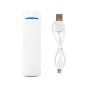 chargeur 2600 mAh 4